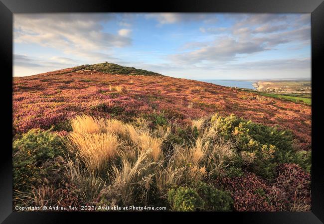 St Agnes Beacon  Framed Print by Andrew Ray