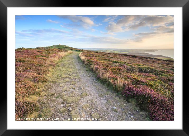 St Agnes Beacon View   Framed Mounted Print by Andrew Ray