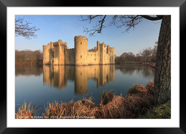 Tree's at Bodiam Castle Framed Mounted Print by Andrew Ray