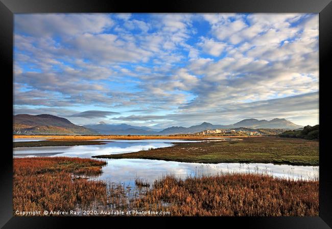 Glaslyn Marshes Framed Print by Andrew Ray