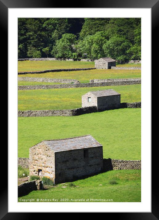 Tree Barns (Swaledale) Framed Mounted Print by Andrew Ray