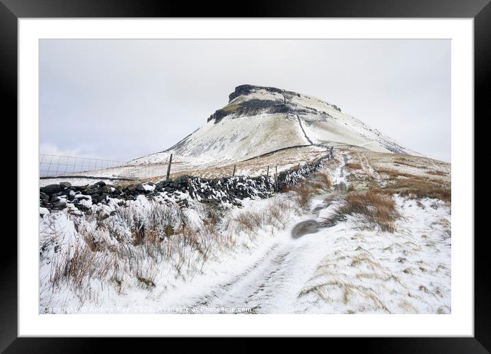 Snow on Pen-y-ghent Framed Mounted Print by Andrew Ray
