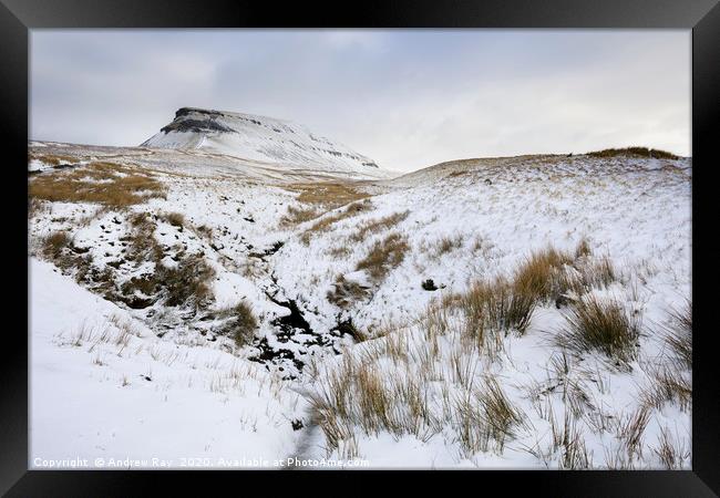 Snow at Pen-y-ghent Framed Print by Andrew Ray