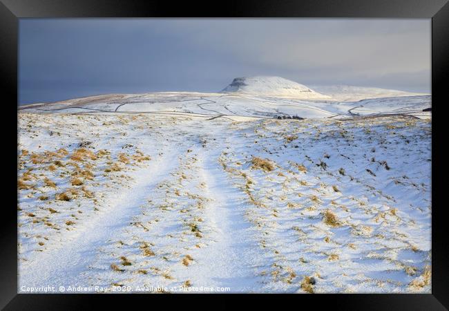 Track toward Pen-y-ghent Framed Print by Andrew Ray