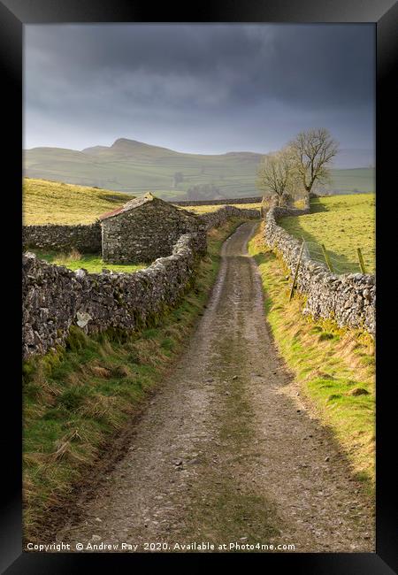 Barn at Goat Scar Lane Framed Print by Andrew Ray