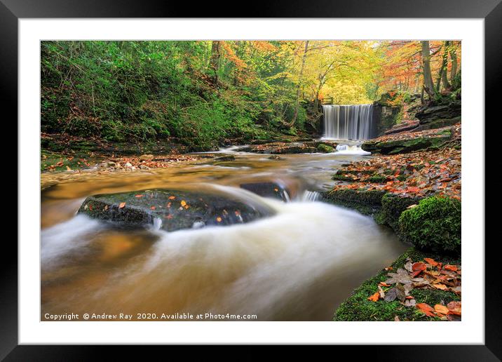 Autumn at Nant Mill Waterfall Framed Mounted Print by Andrew Ray