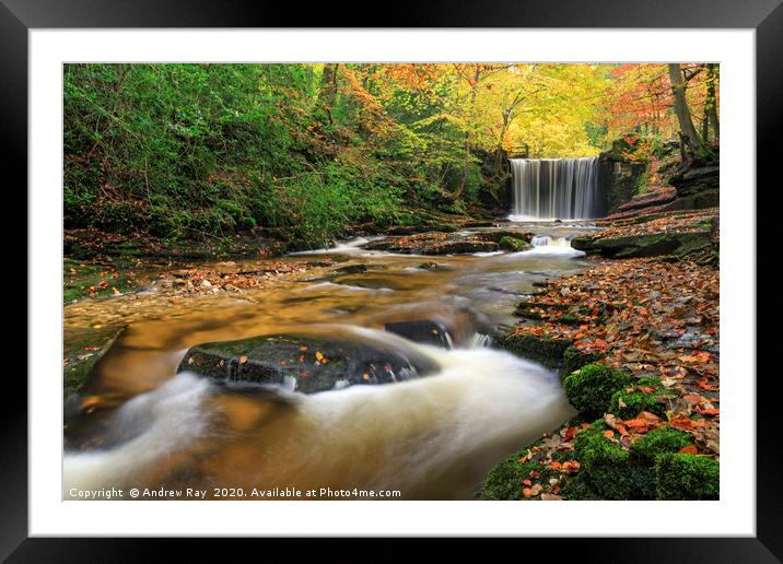 Towards Nant Mill Waterfall Framed Mounted Print by Andrew Ray
