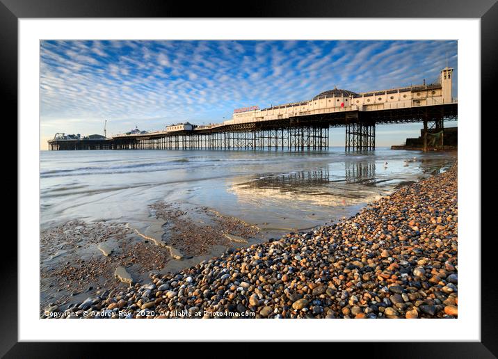 Palace Pier at low tide (Brighton) Framed Mounted Print by Andrew Ray