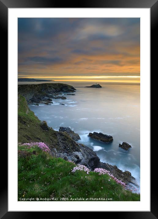 Thrift on the cliff top (Godrevy) Framed Mounted Print by Andrew Ray