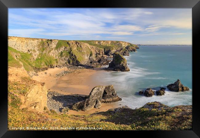 Spring flora (Bedruthan Steps) Framed Print by Andrew Ray