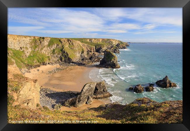 Spring flowers (Bedruthan Steps) Framed Print by Andrew Ray