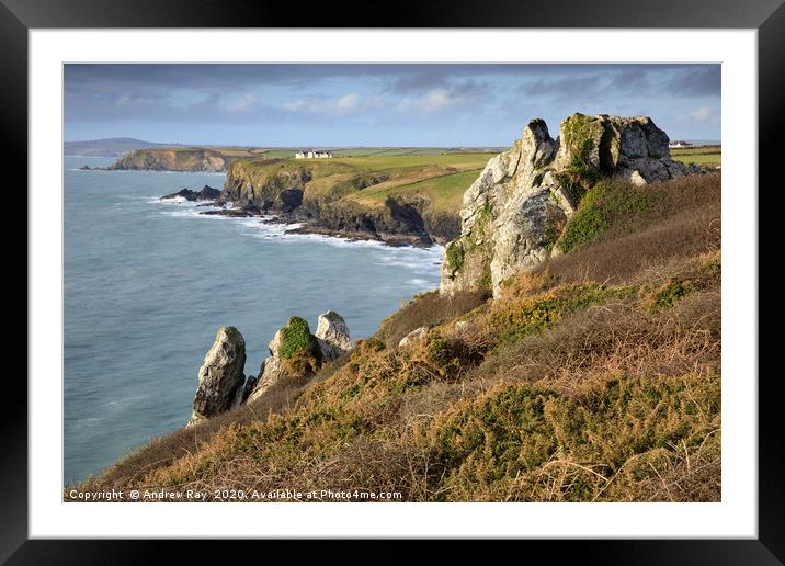Rocks above Polurrian Cove Framed Mounted Print by Andrew Ray