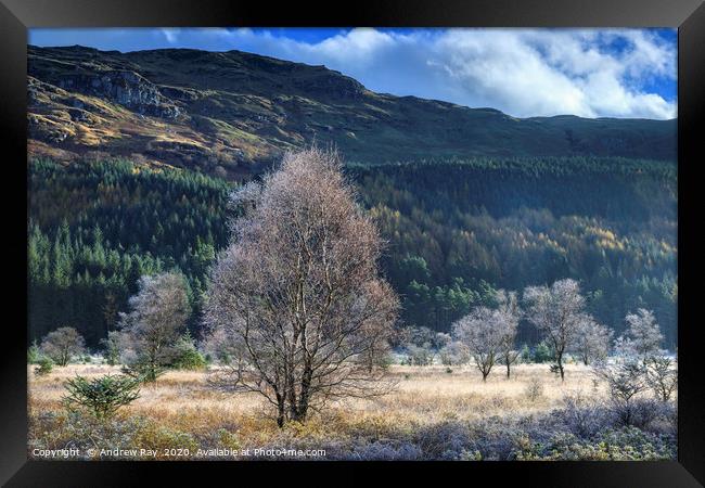 Glen Goil on a frosty morning Framed Print by Andrew Ray