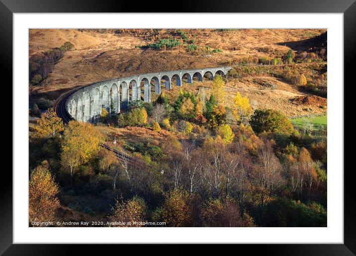 Glenfinnan Viaduct Framed Mounted Print by Andrew Ray