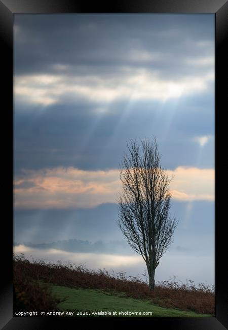 Shafts on light (Sugar Loaf) Framed Print by Andrew Ray