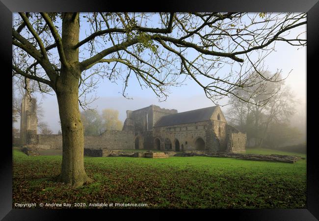 Valle Crucis Abbey Framed Print by Andrew Ray