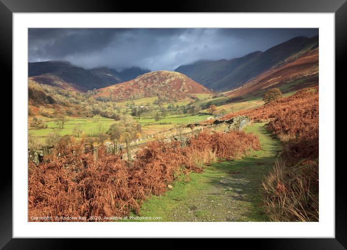 Footpath to the Tongue Framed Mounted Print by Andrew Ray
