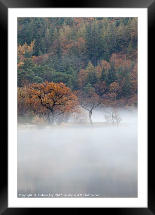 Tree's in the mist (Crummock Water) Framed Mounted Print by Andrew Ray