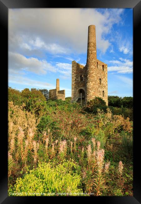 Summer evening (Wheal Peevor) Framed Print by Andrew Ray
