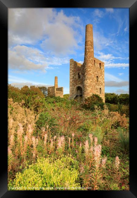 Wheal Peevor Framed Print by Andrew Ray