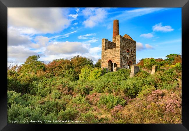 Evening light at Wheal Peevor Framed Print by Andrew Ray