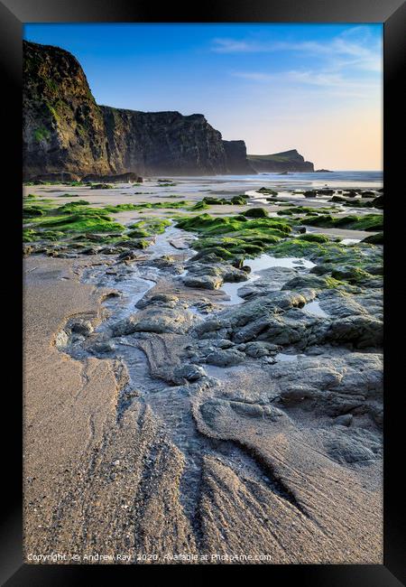 Low tide at Whipsiderry Beach Framed Print by Andrew Ray