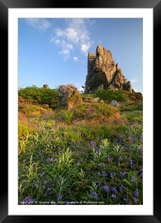 Spring flora at Roche Rock Framed Mounted Print by Andrew Ray
