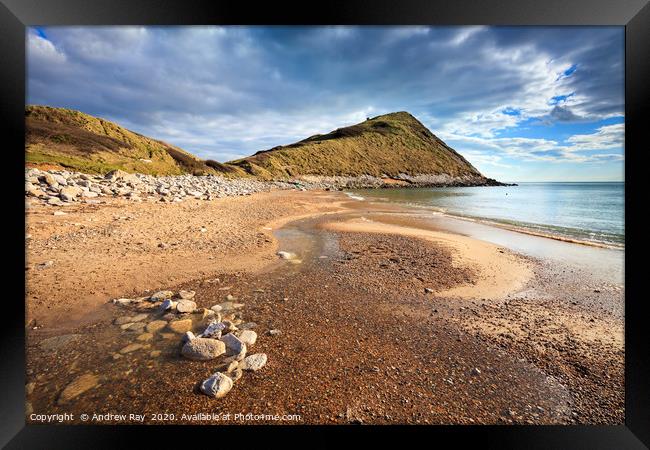 Worbarrow Tout Framed Print by Andrew Ray