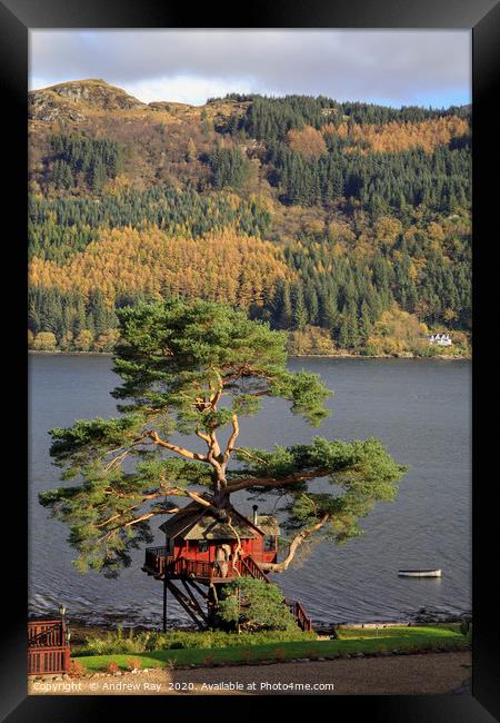 Tree house (Loch Goil) Framed Print by Andrew Ray