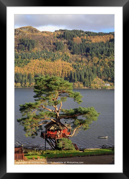 Tree house (Loch Goil) Framed Mounted Print by Andrew Ray