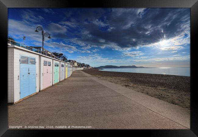 Beach huts at Lyme Regis Framed Print by Andrew Ray
