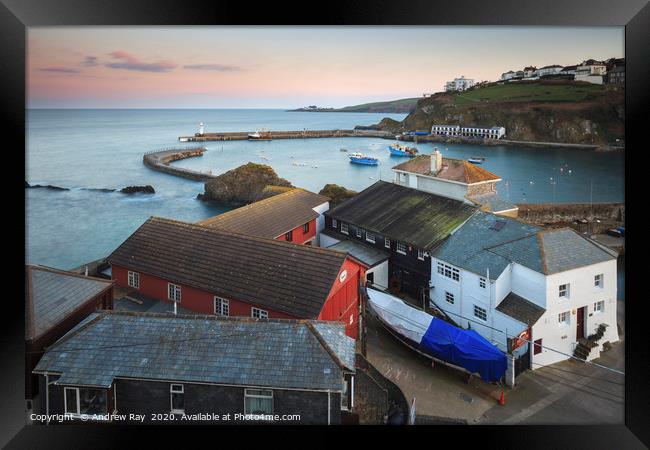 Above the museum (Mevagissey). Framed Print by Andrew Ray