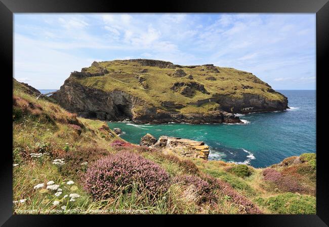 Heather at Tintagel Framed Print by Andrew Ray