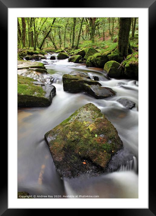Rocks at Golitha Falls Framed Mounted Print by Andrew Ray