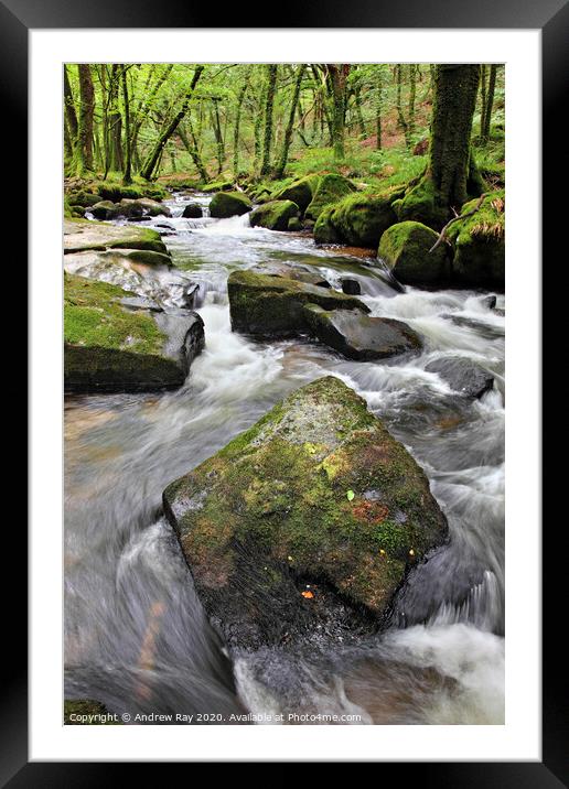 Rocks at Golitha Falls 3 Framed Mounted Print by Andrew Ray