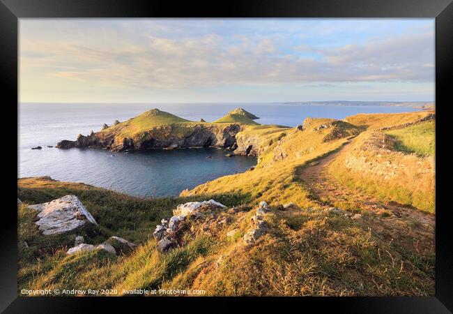 Coast Path to the Rumps Framed Print by Andrew Ray