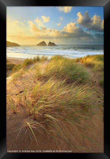 Dunes at sunset (Holywell Bay) Framed Print by Andrew Ray