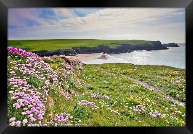 Thrift at Crantock Framed Print by Andrew Ray