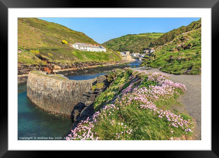 Thrift at Boscastle Framed Mounted Print by Andrew Ray