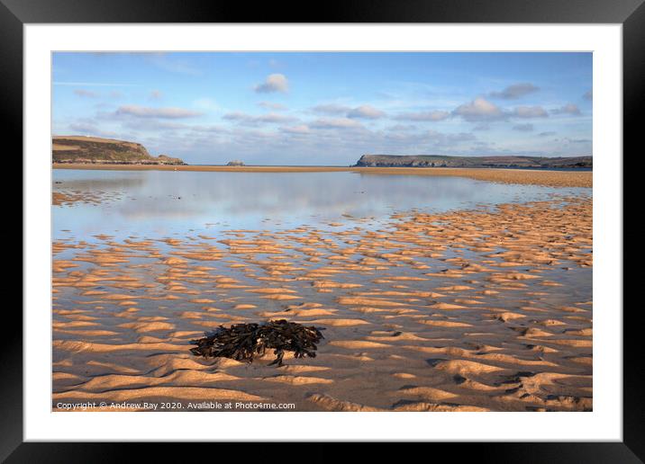Seaweed on the Camel Framed Mounted Print by Andrew Ray