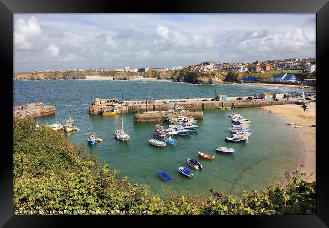 Newquay Harbour Framed Print by Andrew Ray
