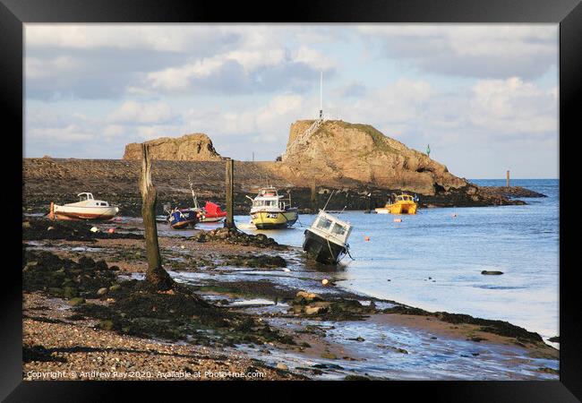 Boats at Bude Framed Print by Andrew Ray