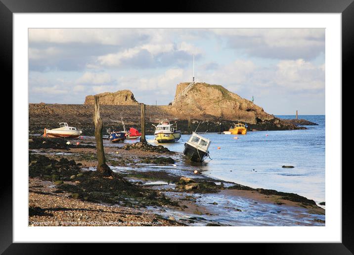 Boats at Bude Framed Mounted Print by Andrew Ray