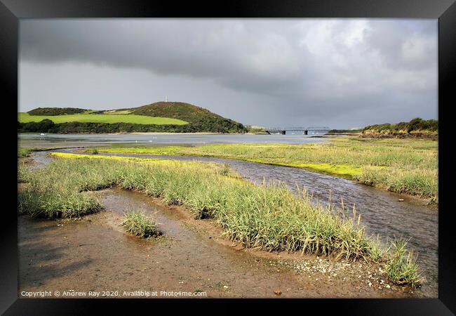 Little Petherick Creek Framed Print by Andrew Ray