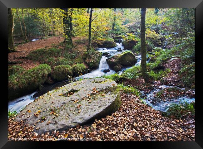 Autumn at Kennall Vale Framed Print by Andrew Ray