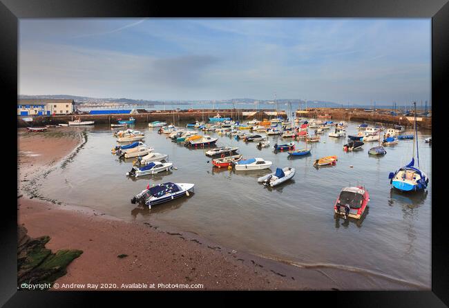 Paignton Harbour Framed Print by Andrew Ray
