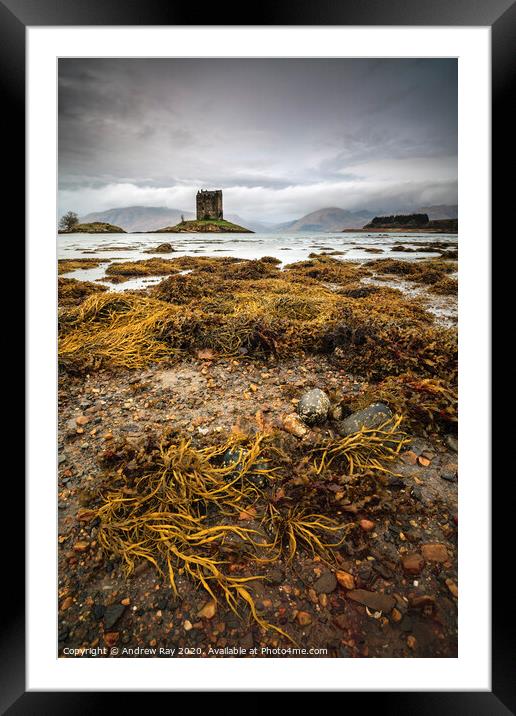 Low tide at Castle Stalker Framed Mounted Print by Andrew Ray