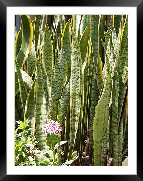 Plant leaves Framed Mounted Print by Yasmin Jeevanjee