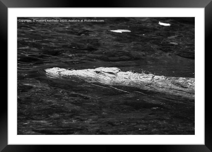 Nile crocodile swimming in Mzima Springs, Kenya Framed Mounted Print by Howard Kennedy
