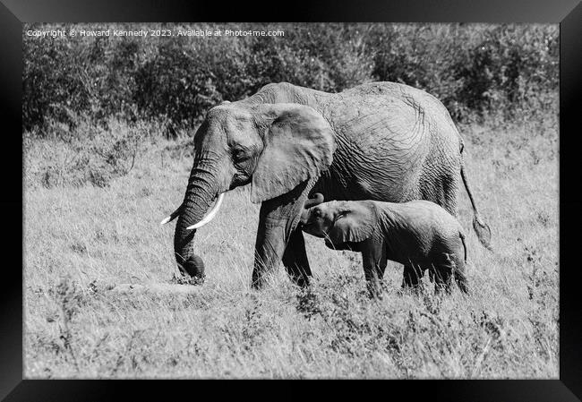 Elephant mother nursing her suckling infant in black and white Framed Print by Howard Kennedy